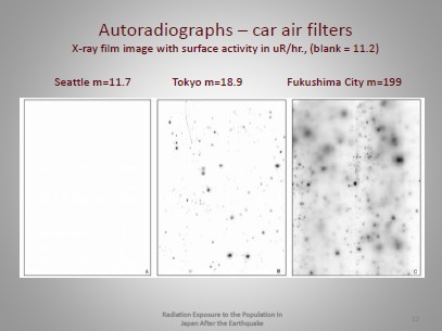 福島県・東京都・シアトルにおける自動車エアフィルターのオートラジオグラフ
